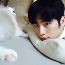 고양이두마리 Daum카페