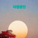 긍정의뉴스