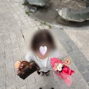 플랙스호텔 | 셀린느 스몰 보스턴백 후기🤎 30대 첫 명품백 추천 | 가격·수납·착샷