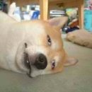 MG 골프 아카데미 이미지