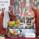 자매성 뉴스1