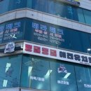 몽글몽글 애견유치원 이미지