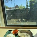 굿모닝시락국