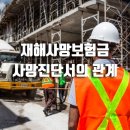 진성 행정사사무소 이미지