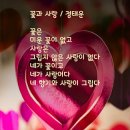 꽃과사랑 - 금산군 비호로 70 | 꽃과사랑