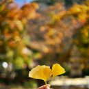 서우전통국밥 이미지