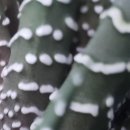 백내과의원 이미지