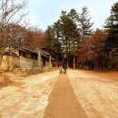 한미해병대 참전비 | 세상을 걷는다. (1)