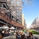 한숲약국 이미지