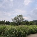 호수공원 10로 이미지