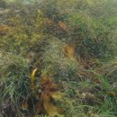 선창민박 이미지