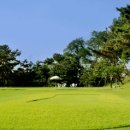 인천국제골프연습장 이미지