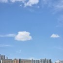 소라네김밥 | [1박 2일 부산여행] 영도 해녀촌 해물라면 성게김밥 소라 후기