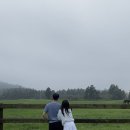 덕성목장 이미지