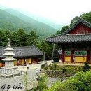 구룡사 Daum카페