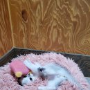 루루호텔 이미지