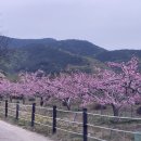 나룻배민박