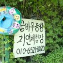 굴바우농장 이미지