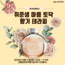 테라피+12 | 테라피 12