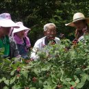 동성동주민센터 이미지