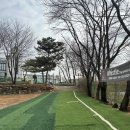 드린겐 애견테마파크 이미지