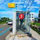 한림환승정류장(한림리) (한국통신방면) | 2024.09.24. [제주 4.3길 8] 제주 한림 금악마을 4.3길