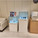 광주오티콘보청기 이미지