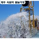 옥돔역카페 | 제주 옥돔역 물놀이장 내돈내산 후기