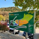 병현목장 | 양평 아이와 가볼만한곳 [양평양떼목장] 양, 염소, 돼지, 오리, 타조까지