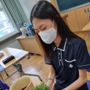 경상중학교 이미지