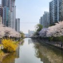 서운교 이미지
