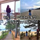 명사십리바다펜션 | 전라도 여행 완도 명사십리 숙소 완도치유페스타 가성비 스타비치펜션