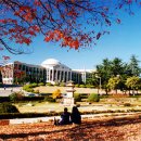 경북대학교 의학전문대학원 Daum카페