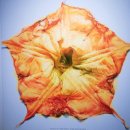 [시민교육]세계 미술관 산책 | ​[미술산책] 현실은 어떻게 이미지가 되는가 – 서울시립 미술관 ‘한운성 컬렉션: 그림과 현실’展...