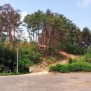 마상마을회관 이미지