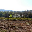 여의동농장 이미지