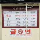정림골흑염소 이미지