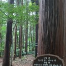 숲속쉼터옆 이미지