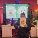 ♧2025-12-10♧ 펫과함께(미용하기) 이미지
