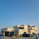 카페Tree트리 | 간절곶 카페 | 서생 신상카페 도우트리(DOUGH TREE) 내돈내산 방문후기
