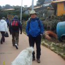 통영 소매물도를 댕기와서.... 이미지