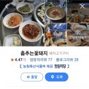 춤추는꽃돼지 - 해남군 읍내길 34 | 춤추는꽃돼지