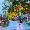 대포한개마을 | 상하이 우전 수향마을 투어 내돈내산 후기 혼자 상해 근교 여행 코스 추천