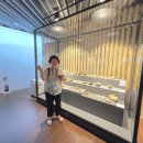 에이블투어㈜ 이미지