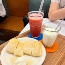 더루시 | 루시 콘서트보고 KBS 아레나 맛집&amp;카페 뿌시기!