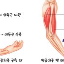 피트인 휘트니스 이미지