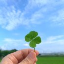 몸짱스쿨 이미지