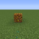 포레스트리 이미지