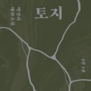열일곱 | [박경리 작가 독서챌린지_토지 7기] 《토지》 열일곱 번째 주 후기