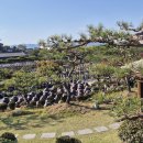 이화동산 티스토리